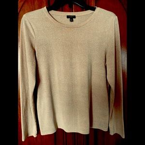 Talbots Shimmering Metallic Rayon Nylon top